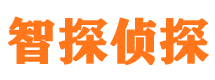 武冈调查取证